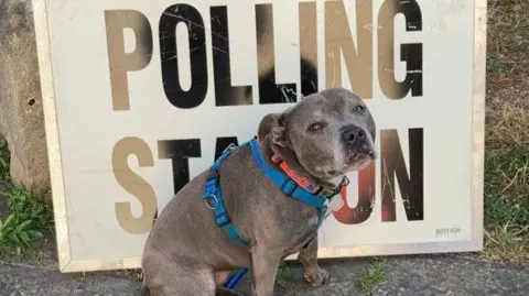 Tom Steuart-Feilding Juno the dog standing in front of a polling station