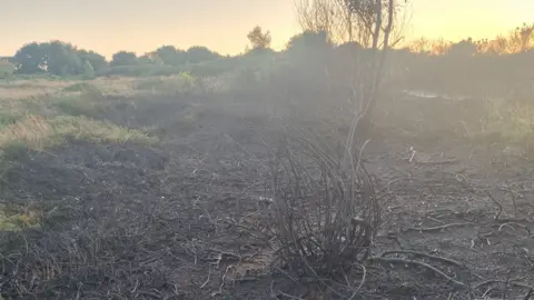 An area of burnt and charred heathland with smoke in the air and grass and bushes behind.