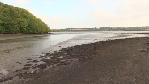 BBC A picture of the beach near Wacker Quay. The beach is stone which is a dark brown color next to a stream of water. Trees and land can be seen in the distance.