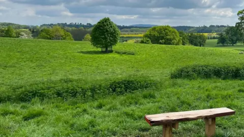 National Trust Rolling fields and hills, a small bench is visible in the foreground and a tree occupies the middle of the field