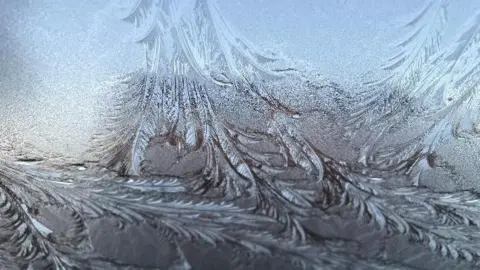 Dempsey dog and Radley boy An icy window. 