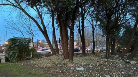 Local Democracy Reporting Service Trees have been thinned out at the memorial site.