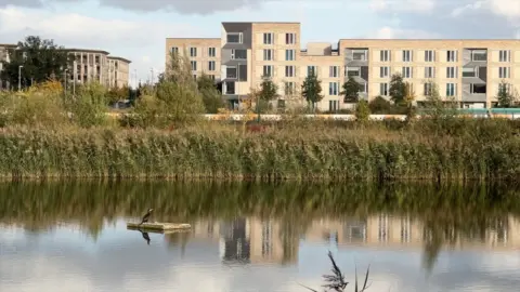 DJ Mclaren/BBC In the foreground is a lake, with a bird perched on a stone, with reeds and trees in the middle distance. In the background is a new four-storey student accommodation block.