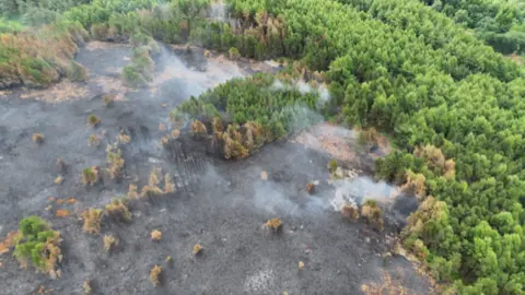A drone view of burning on the moors and woodland