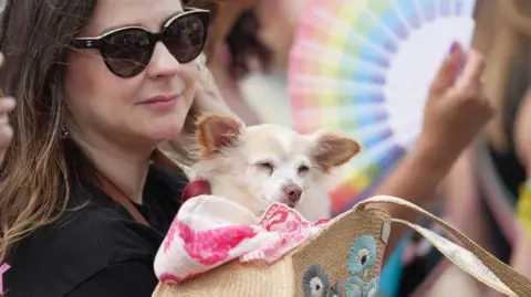 Eddie Mitchell A woman in a black coat with brown hair and sunglasses holding a white-haired dog in a brown bag