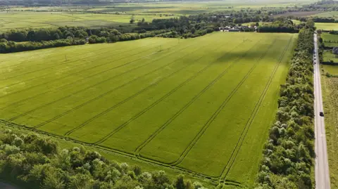 Shaun Whitmore/BBC Aerial view of the proposed site