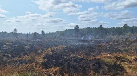 DWFRS A wide area of heath and forest blacked, burnt and smoking