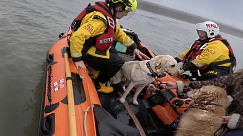 A lifeboat with two crew members and two dogs on board 