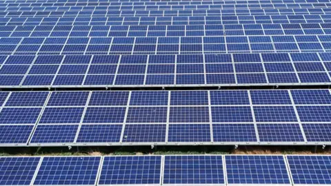 Many rows of large blue solar panels on white grids.