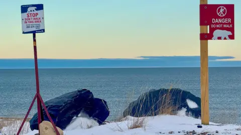 Victoria Gill/BBC Polar bear warning signs by the bay in Churchill, Manitoba 