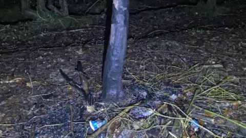 A charred tree with litter strewn around its base