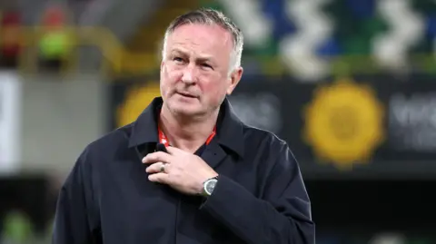 Northern Ireland manager Michael O'Neill
