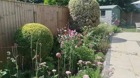 Paul Burnell/BBC Tall flowers growing on a border in the Middleton garden.