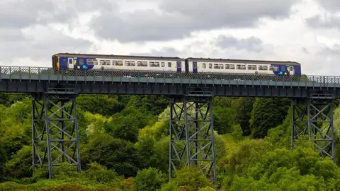 A Northern train running on the Northumberland Line crosses the North Seaton Viaduct. The blue and white two-carriage train cross over the grey steel bridge. It is passing over a large number of green, leafy trees.