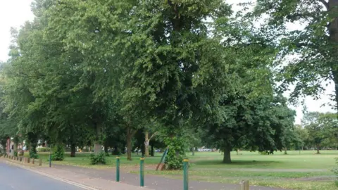 David Howard/Geograph A large park with a number of trees and a line of green bollards. A path runs to the side of the trees, and there is a road to the left. 