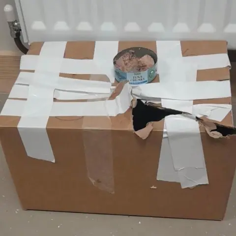 RSPCA Box with tuna on top