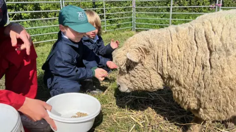 Two children in overalls feed and pet a ewe while a staffmember holds out a bowl of feed.