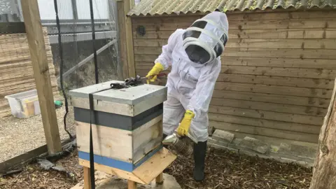 David Spereall/BBC A beekeeper wearing white overalls and a face mask tends to a wooden hive box in a pen.