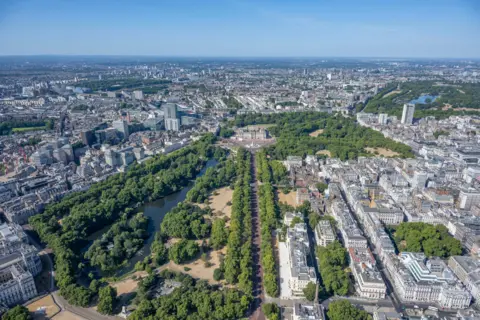 jasonhawkes.com Trees line road to Buckingham Palace