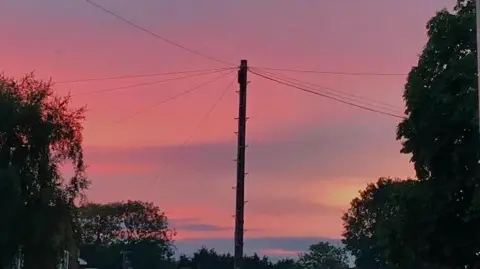 Doris/BBC Pink sky behind trees