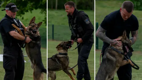 Hertfordshire Constabulary Three police officers, all holding on to dogs. The man on the left is wearing a cap and an all black uniform. The man in the middle has a short beard, short hair and black jacket and trousers. And the man on the right has tattoos on each arm, short hair and is holding a dog. He is also dressed in black. 