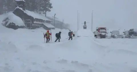 Skiers in the snow preparing for a rescue