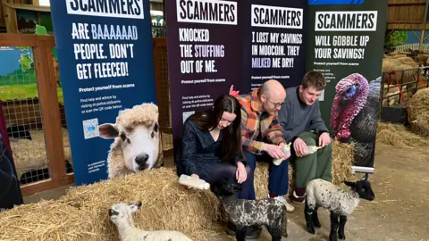 Students from Falmouth University sat on straw bails in a barn with milk bottles in their hands with three baby lambs on the ground. There are four large Devon and Cornwall Police scam posters behind them, each with a different slogan and farm animal on. 