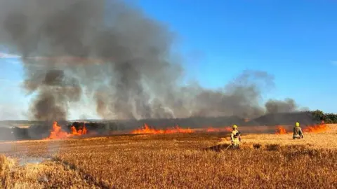 Field fire with flames seen and firefighters standing among crops fighting the fire.