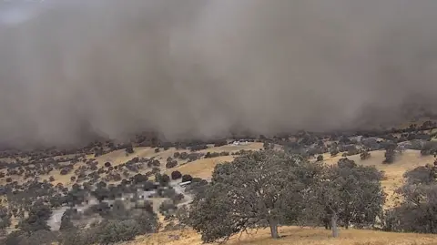 A huge cloud of dust sweeps over fields and trees.