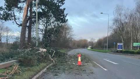 Staffordshire County Council The remains of a tree lie across a main road at a junction. A car is in the background with its headlights on.