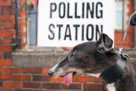 Ian Forsyth / Getty Images A dog's face is shown in profile with their tongue hanging to the side in front of a sign reading 'polling station', they are on a black lead and have black and white fur.