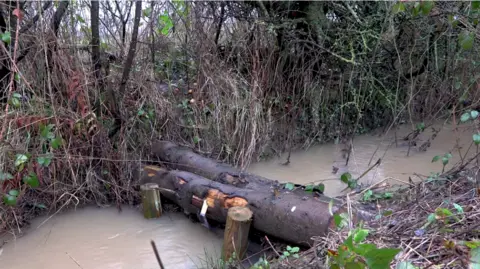 Shropshire Council The photo shows a narrow, muddy water channel running through dense vegetation. The channel’s water is light brown, indicating it is carrying sediment. Across the channel, a pair of large logs has been placed horizontally to form a simple natural barrier. These logs are supported on either side by short wooden posts embedded in the ground.