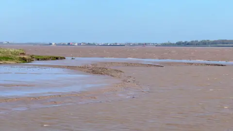 BBC/Josh Gorroño Chapman A wide, muddy estuary stretches out under a clear blue sky, with shallow channels cutting through exposed silt. Distant buildings and trees line the far bank.