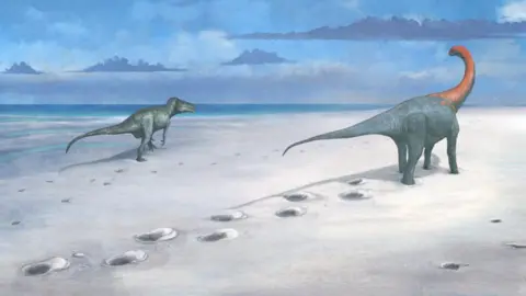 Mark Witton An artist's impression, a drawn illustration, shows two dinosaurs walking a few meters next to each other on a white sandy beach. The larger ones are usually bluish gray and walk on four legs. It has a long tail and a long neck that is red along with its head. The smaller dinosaur, the carnivore, on the left near the dark blue sea, is green and white and walks on two legs.