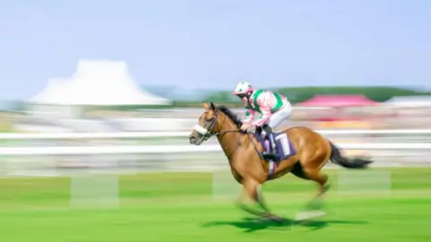 East Riding of Yorkshire Council A horse and jockey race along a green circuit. The grass is bordered by white safety fencing and the background is blurred giving the impression of speed and movement.