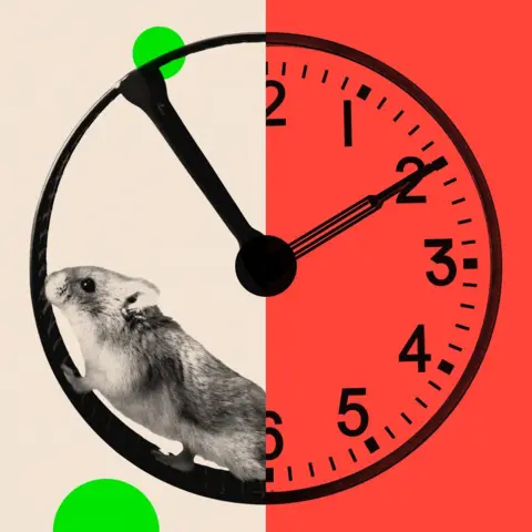 BBC A treated image of a hamster running around a clock