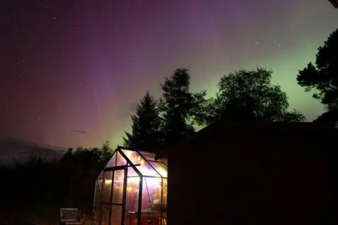 Monika Focht/BBC Weather Watchers A greenhouse lit up by lights and aurora borealis in the night sky above