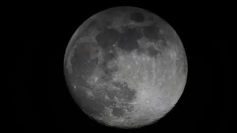 Seallink A clear image of the moon with the creases and craters visible on a black background.