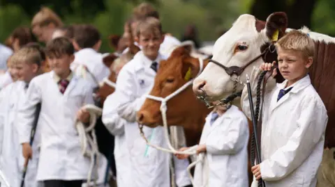 Getty Images Children wearing white coats exhibiting cattle at show