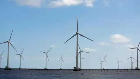 BBC About a dozen turbines in an offshore wind farm.