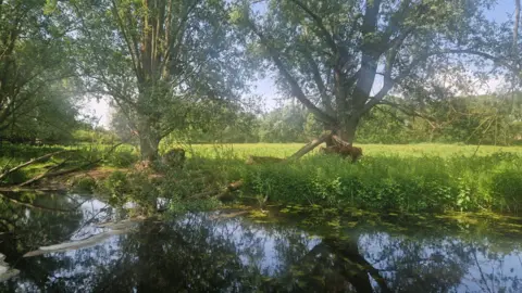Kelly Robinson The River Yare in Colney