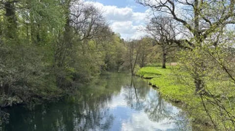 A small river with grass and trees on either side