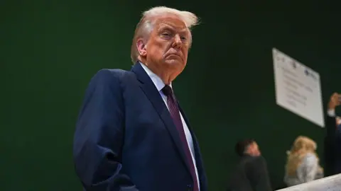 Anadolu via Getty Images Donald Trump