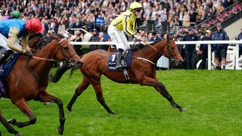 Two race horses