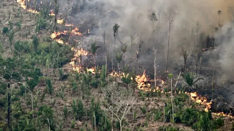 Aerial view of an area of Amazon rainforest deforested by illegal fire in the municipality of Labrea, Amazonas State, Brazil on August 20, 2024. 