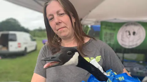 Jay Scott of WWR Wings Wildlife & Bird Rescue with a black and white goose she rescued from