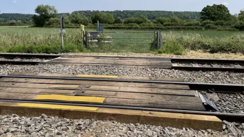 RAIB A level crossing over train tracks running alongside a field.
