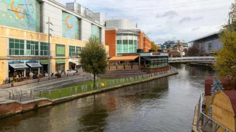 Getty Images A general view of the Oracle, with the River Kennet flowing past it.