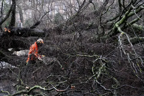 Reuters A worker in helmet and orange high visibility coveralls is using a chainsaw to cut limbs from a large, fallen tree. Some Victorian Edinburgh flats can be seen in the background.