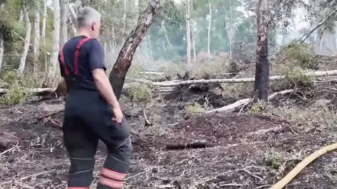 A firefighter walking through a nature reserve which has been burned in a fire.
